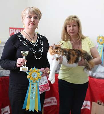 �������� ����� 11-12 ������ 2015 WCF-����� 2-29-169A5434 copy.jpg